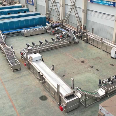 French Fries and Potato Chips Production Line with 304 Stainless Steel