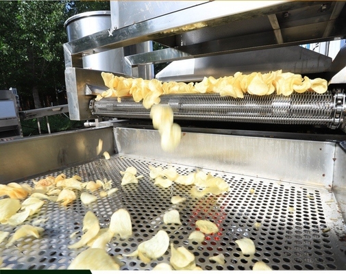 French Fries and Potato Chips Production Line Fully Automatic Multifunctional Machine
