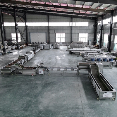 Large-Scale Operations Automatic Fruit Washing Machine for Customized Performance