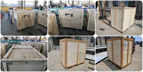 Customized 500kg French Fries Production Line for High Capacity Output