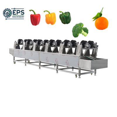 Customized 500kg Vegetable Washer and Drying Machine for Tomatoes Mushroom Potatoes