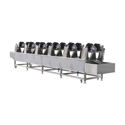 304 Stainless Steel Vegetable Drying and Processing Machine for Large-Scale Production