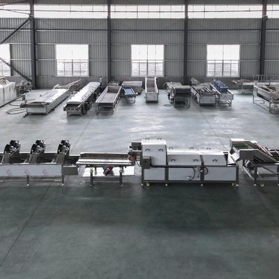 304 Stainless Steel Vegetable Drying and Processing Machine for Large-Scale Production