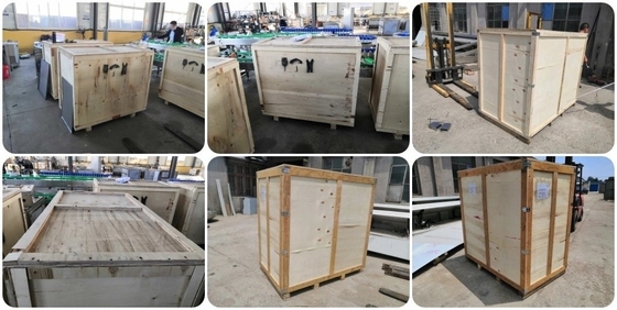 304 Stainless Steel Vegetable Drying and Processing Machine for Large-Scale Production