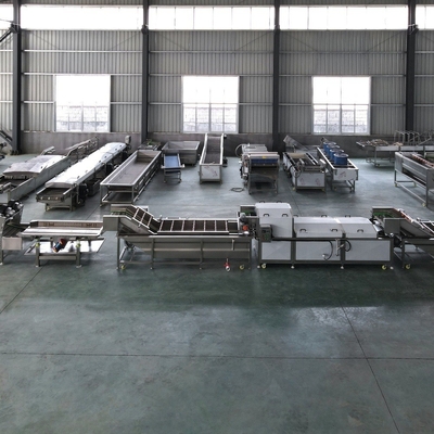 Fully Automatic Bubble Cleaning Machine for Commercial Fruit and Vegetable Processing