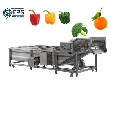 Customized Vegetable and Fruit Bubble Washer for Enhanced Cleaning Fully Automatic