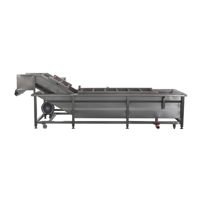 Customized Vegetable and Fruit Bubble Washer for Enhanced Cleaning Fully Automatic