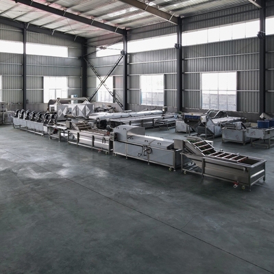 Customized Vegetable and Fruit Bubble Washer for Enhanced Cleaning Fully Automatic