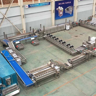 Thermal Processing Frozen Potato French Fries Strips Prices from 304 Stainless Steel