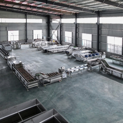 Customizable Stainless Steel Fruit and Vegetable Processing Machine for Professional