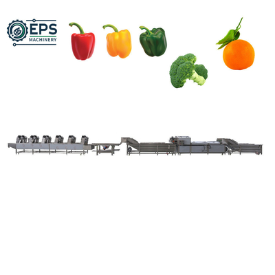 Fully Automatic Fruit and Vegetable Washer for Food Wholesalers Meeting Your Standards