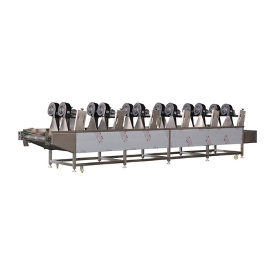 Automatic High Pressure Fruit Vegetable Air Bubble Washing and Drying Processing Line