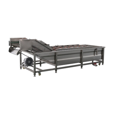 Large-Scale 304 Stainless Steel Fruit and Vegetable Cleaning Equipment for Industrial