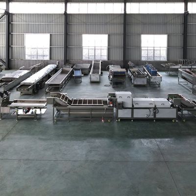 Fully Automatic Vegetable Fruit Washing and Blanching Equipment with Customized Options