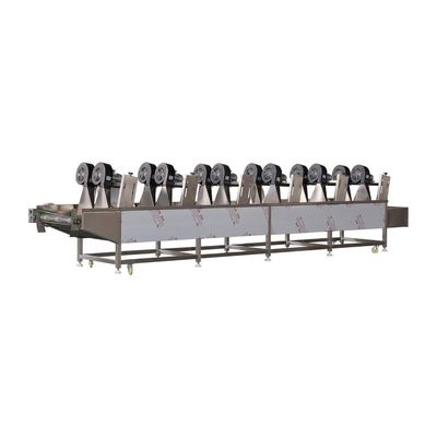 1500kg/H Capacity Capacity Industrial Fruit and Vegetable Dryer for Customized Drying
