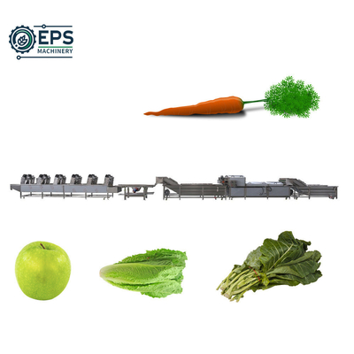 Multi-Function Peeling Machine for Washing Brushing of Fruit Vegetable