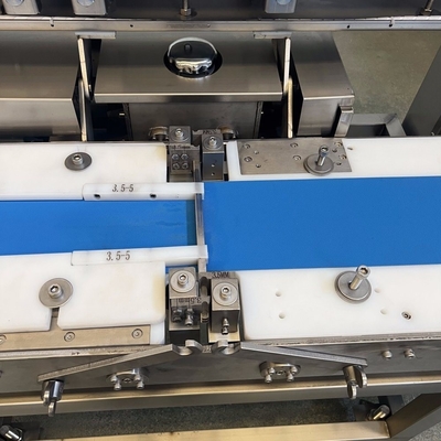 500kg Chicken Breast and Fish Slicer for Thermal Processing Efficiency