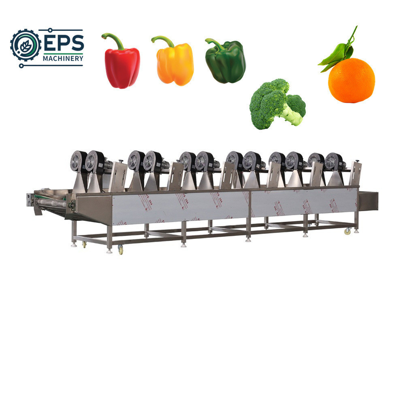 1500kg/H Capacity Automatic Fruit and Vegetable Processing Machine for Production