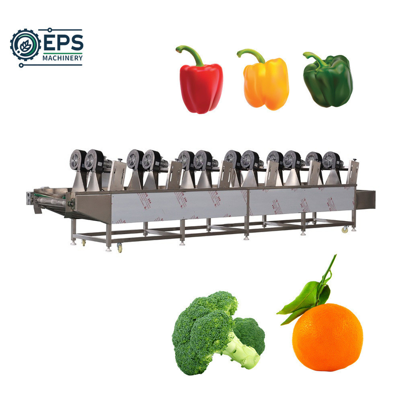 Fully Automatic Capacity Fruit and Vegetable Drying Machine for Drying of 400kg Load