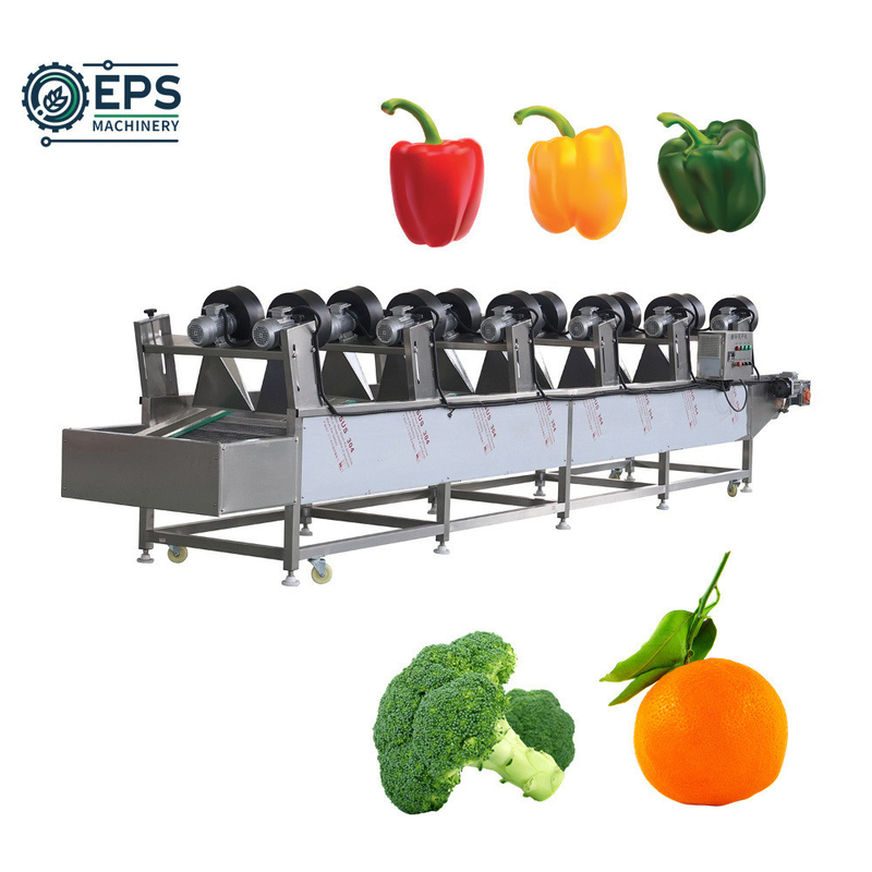 Eddy Current Washing and Dehydrator Machine for Salad Soybean and Fruits Vegetables